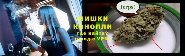 дурь Алзамай
