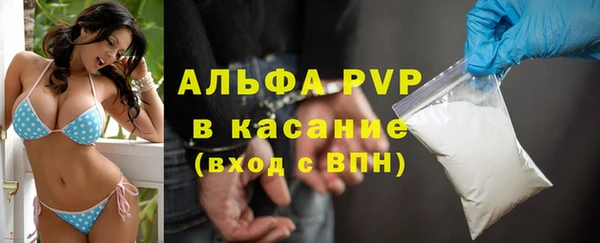 индика Протвино