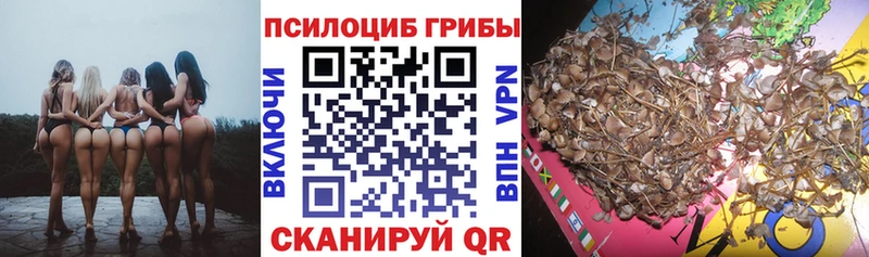 Галлюциногенные грибы мицелий  где продают   Красноармейск 